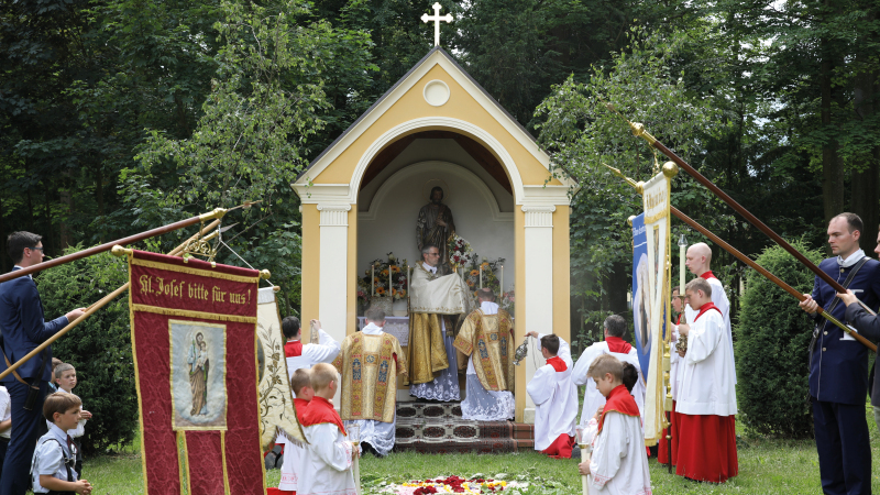 P Johannes Regele FSSPX